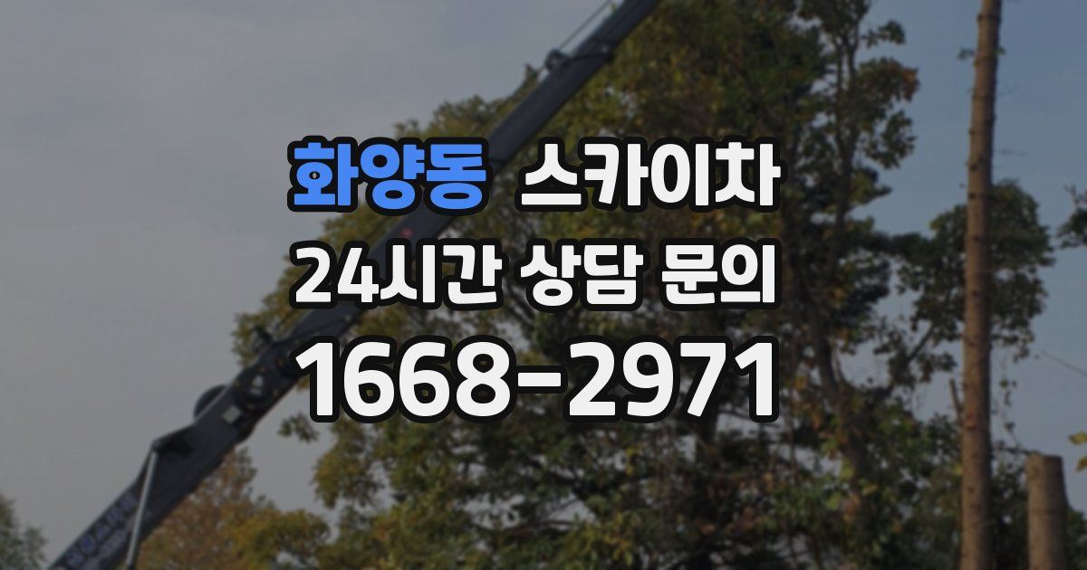 화양동 스카이차