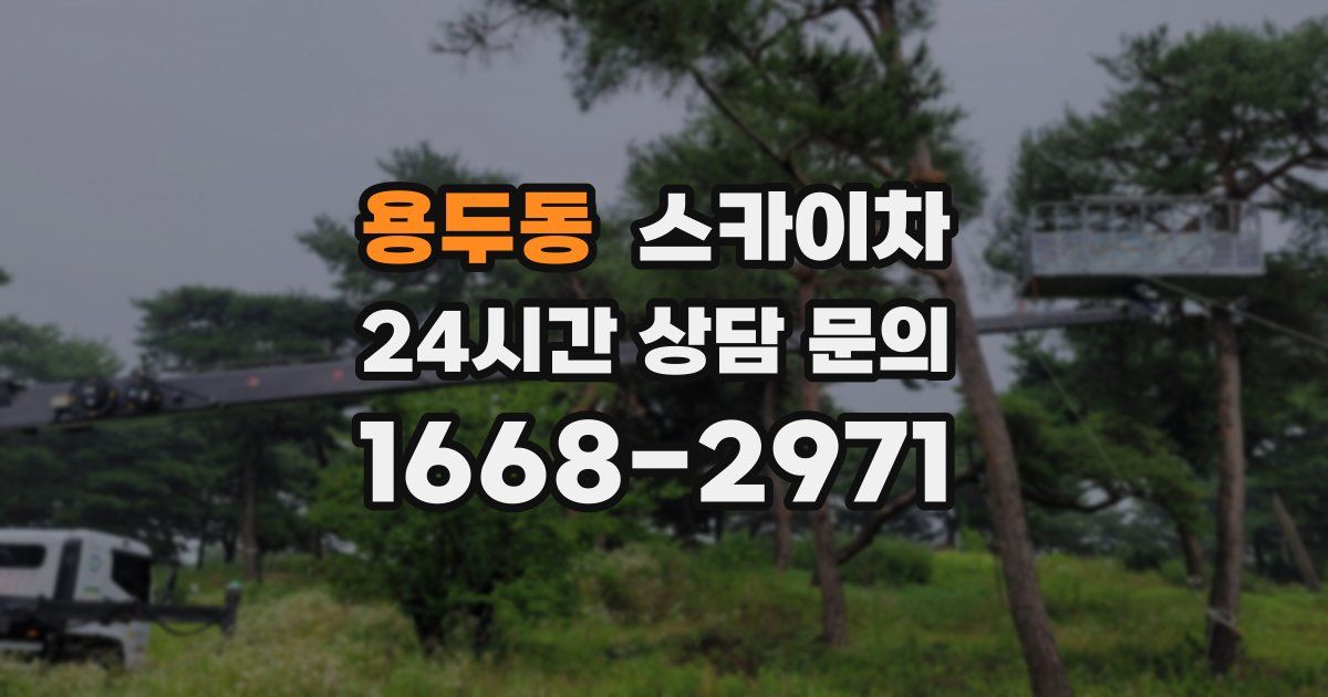 용두동 스카이차