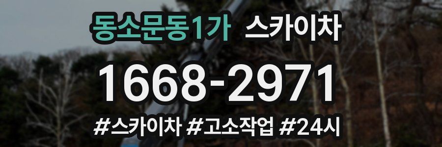 동소문동1가 스카이차