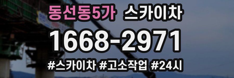동선동5가 스카이차