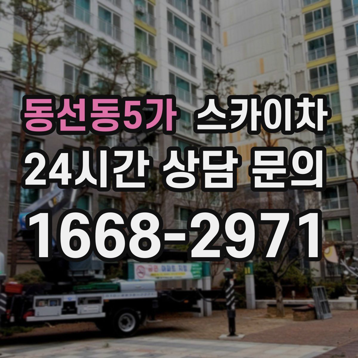 동선동5가 스카이차