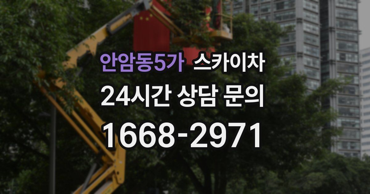 안암동5가 스카이차