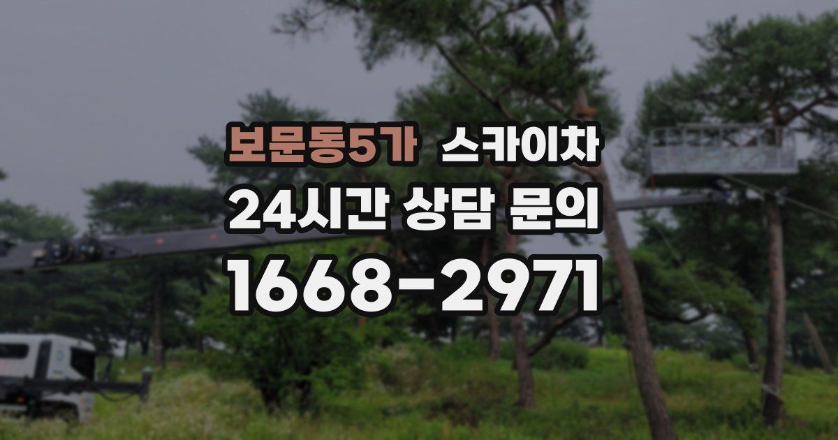 보문동5가 스카이차