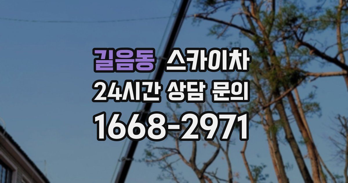 길음동 스카이차