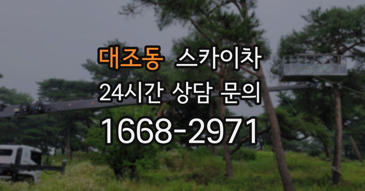 대조동 스카이차