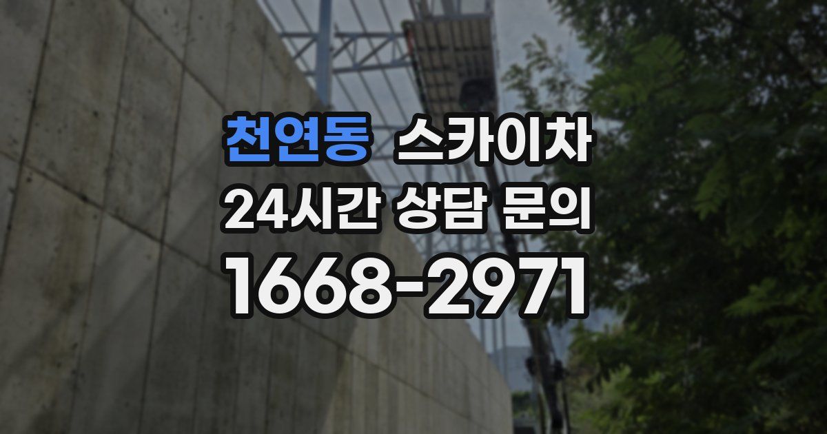 천연동 스카이차