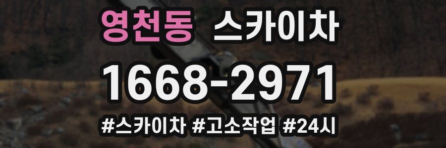 영천동 스카이차