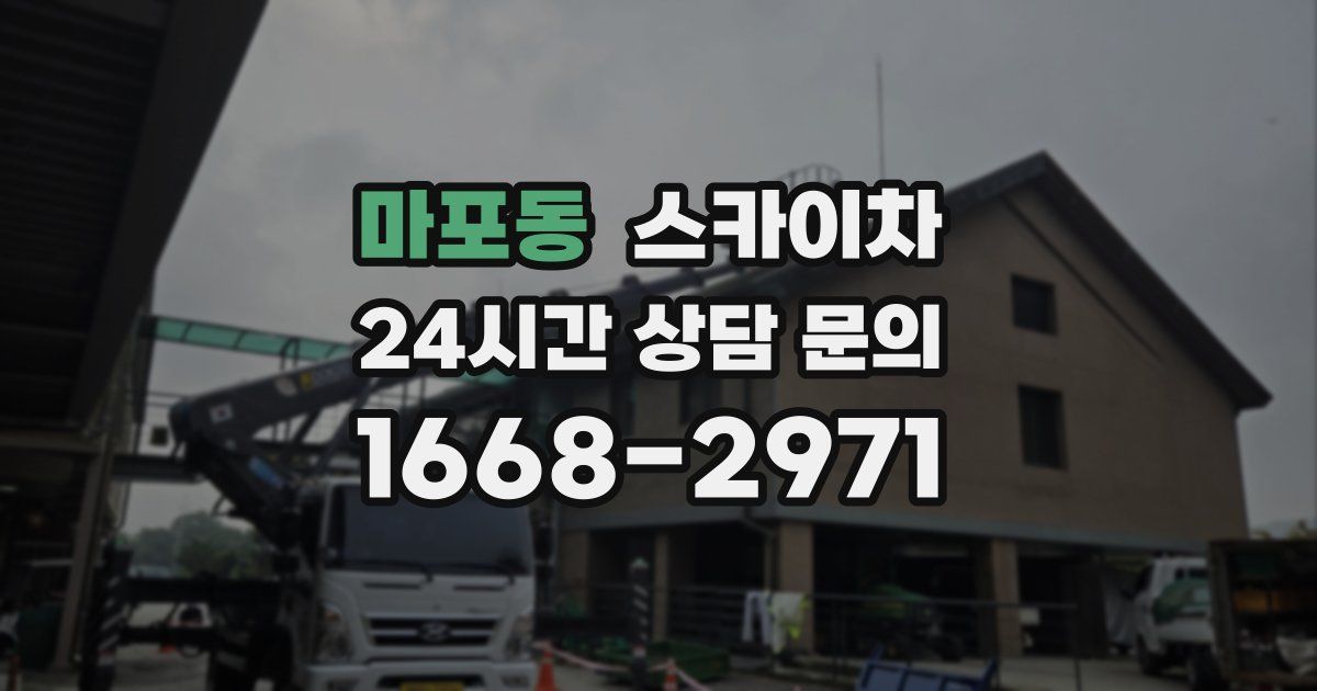 마포동 스카이차