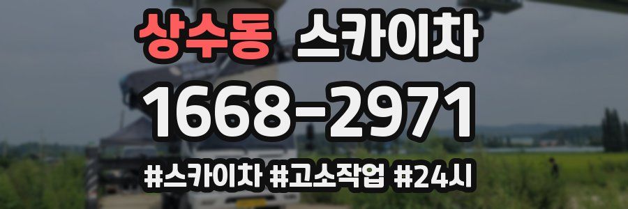 상수동 스카이차