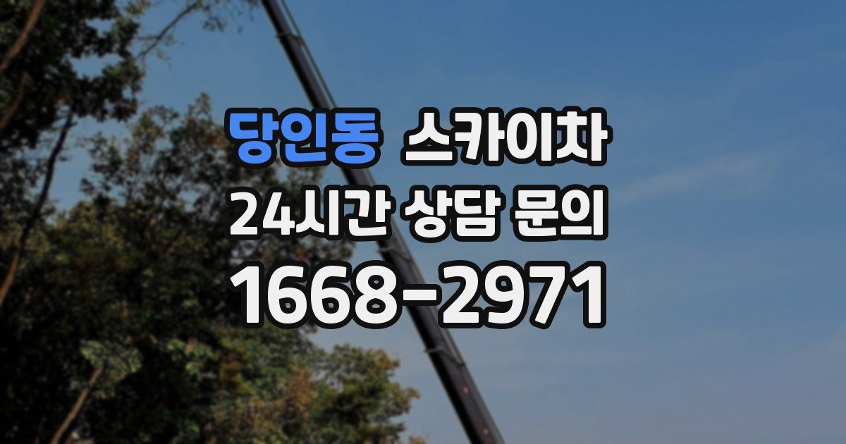 당인동 스카이차