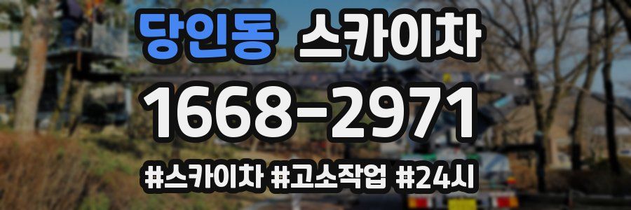 당인동 스카이차