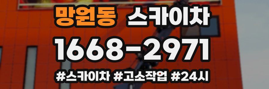 망원동 스카이차