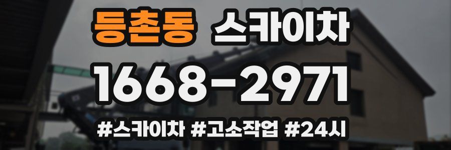 등촌동 스카이차