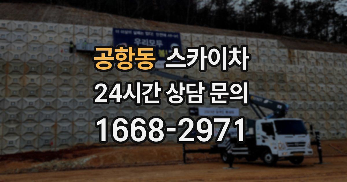 공항동 스카이차