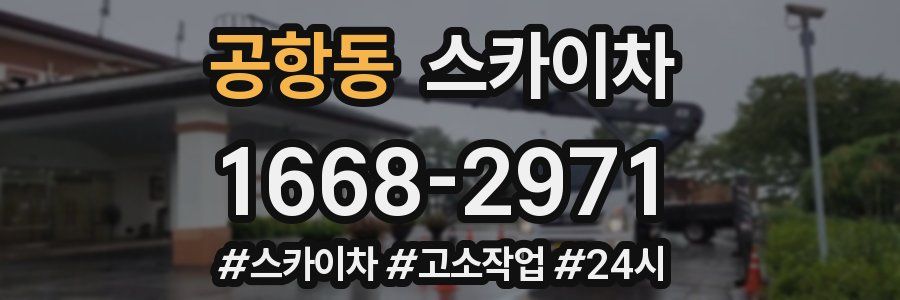 공항동 스카이차