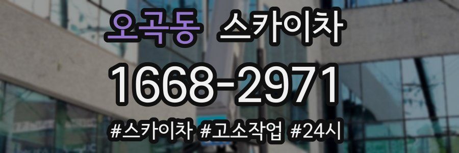 오곡동 스카이차