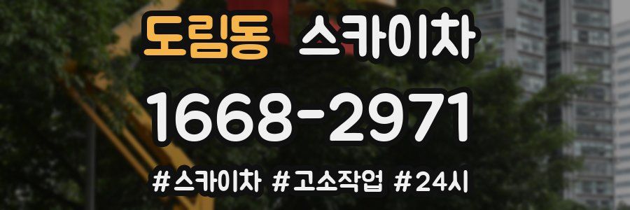 도림동 스카이차