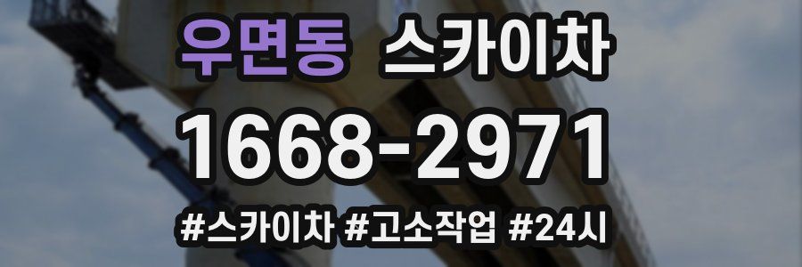 우면동 스카이차