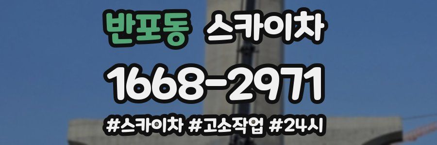반포동 스카이차