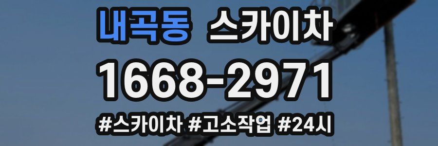 내곡동 스카이차