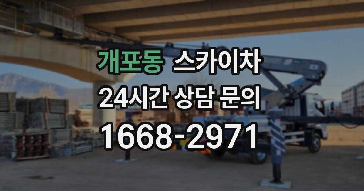 개포동 스카이차