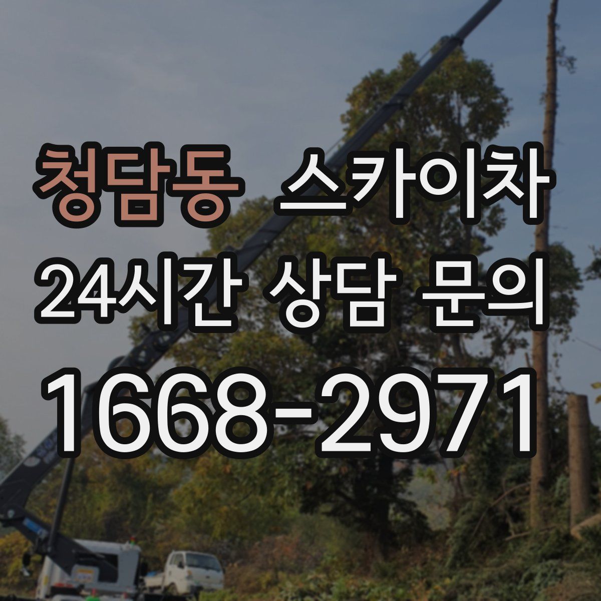 청담동 스카이차