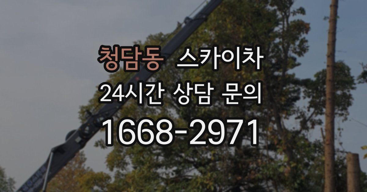 청담동 스카이차