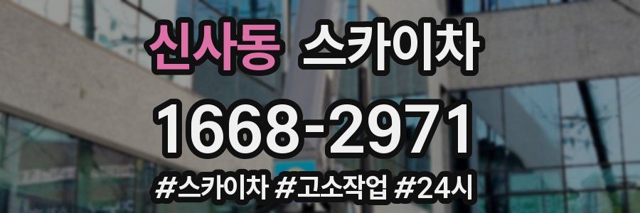 신사동 스카이차