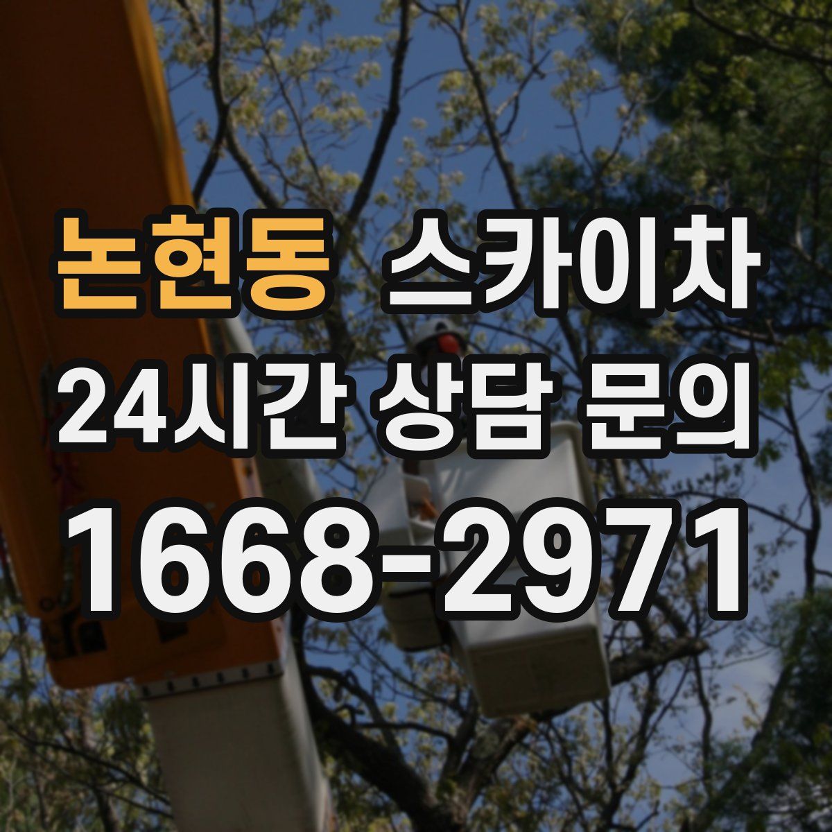 논현동 스카이차