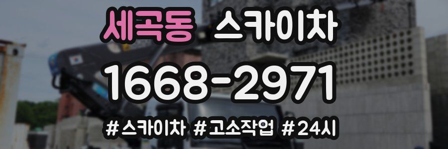 세곡동 스카이차