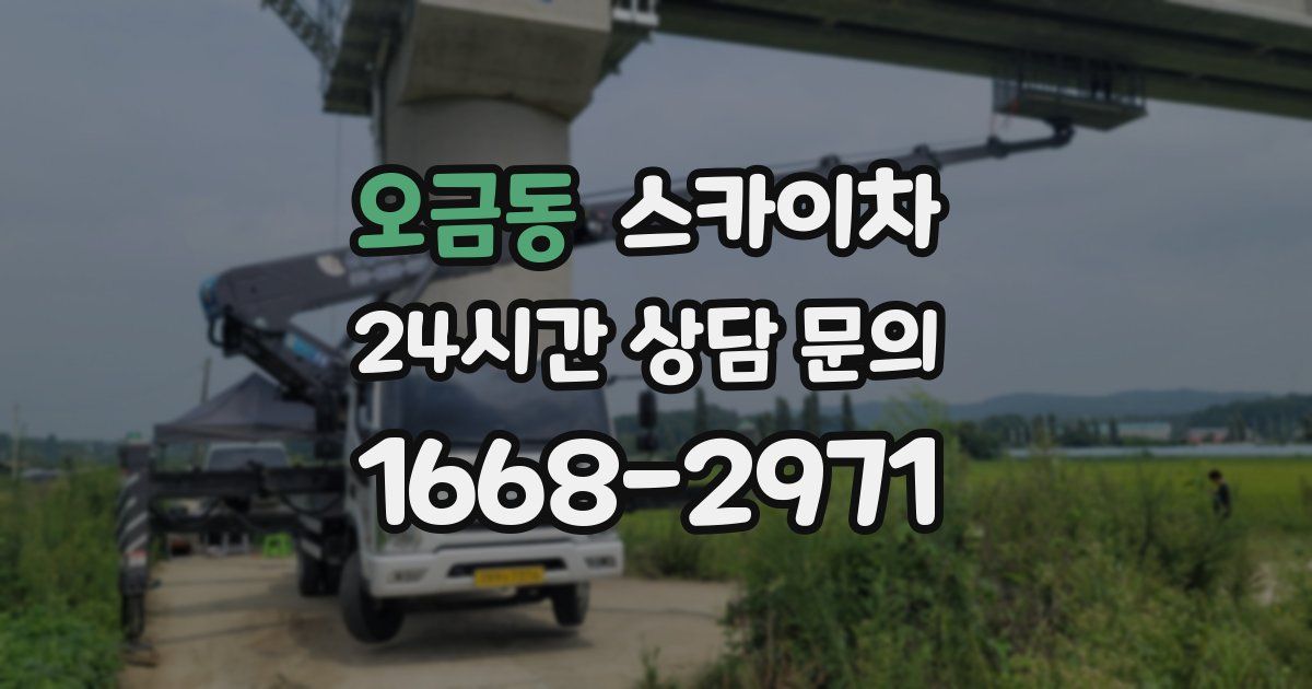 오금동 스카이차