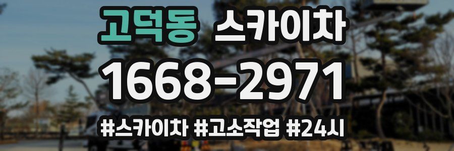 고덕동 스카이차