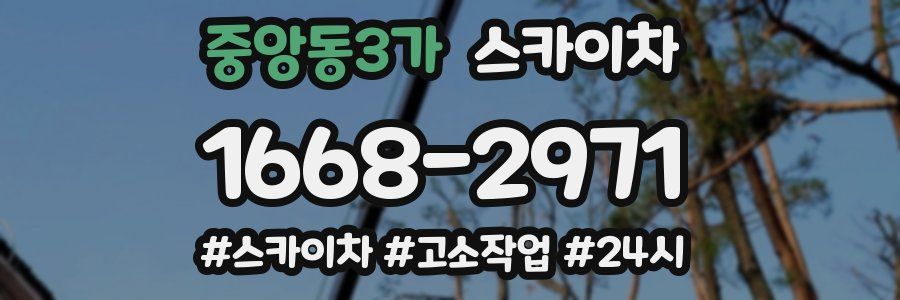 중앙동3가 스카이차