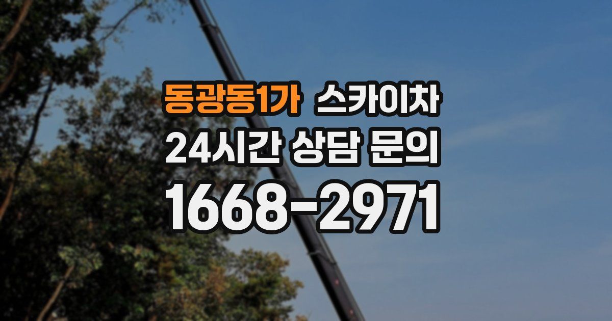 동광동1가 스카이차