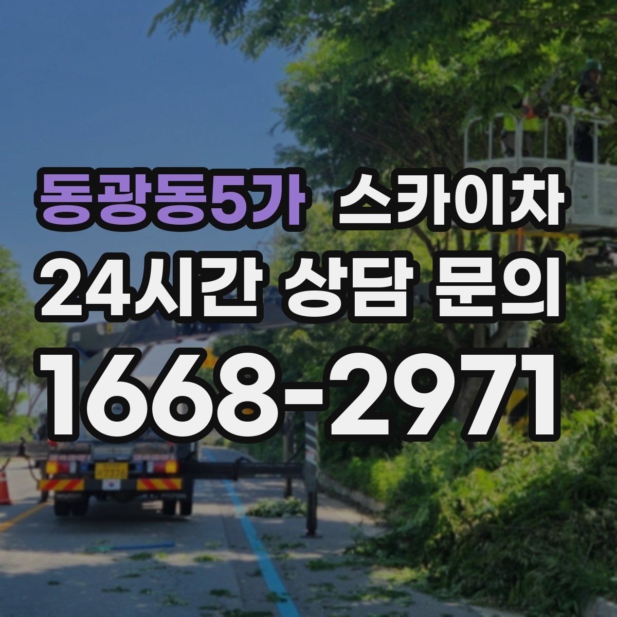 동광동5가 스카이차 가로등 주변 작업 전 안전 통제 요령