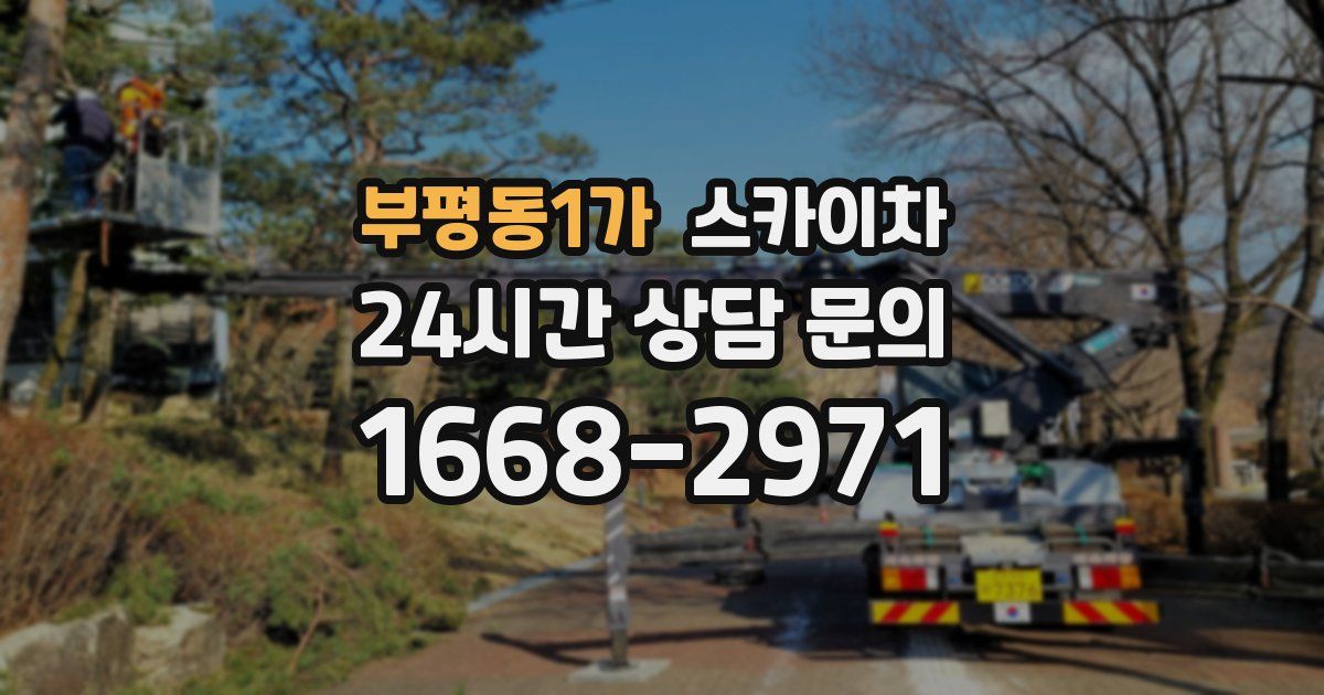 부평동1가 스카이차