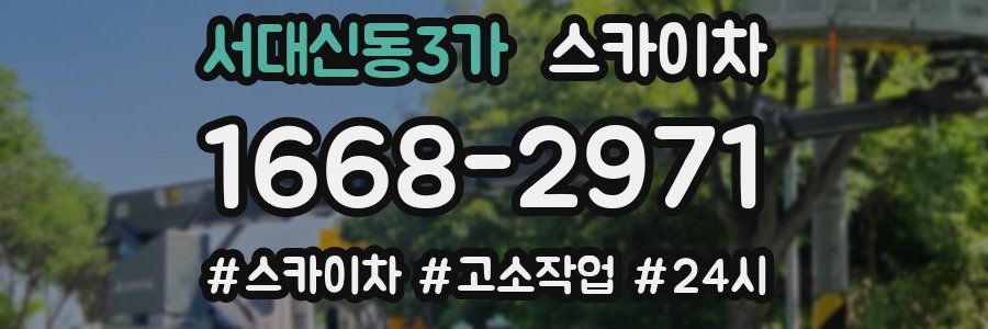 서대신동3가 스카이차