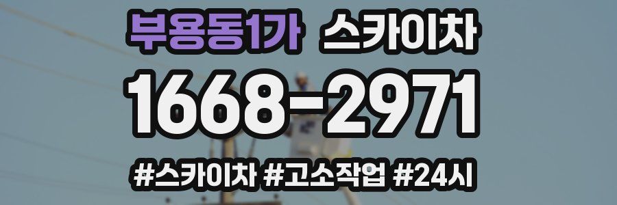 부용동1가 스카이차