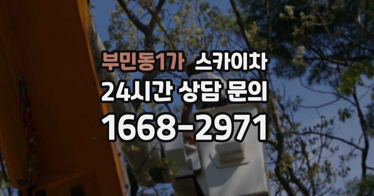 부민동1가 스카이차