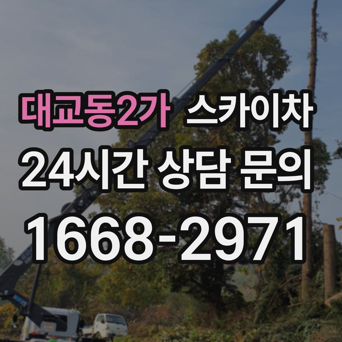 대교동2가 스카이차 필요한 높이를 모르겠다면 이렇게 확인