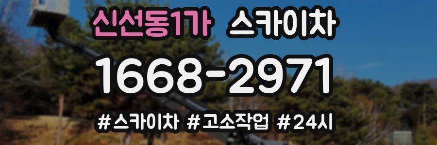 신선동1가 스카이차