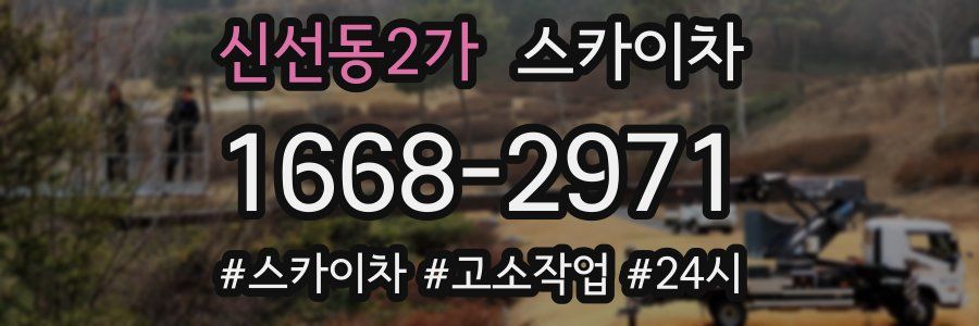 신선동2가 스카이차