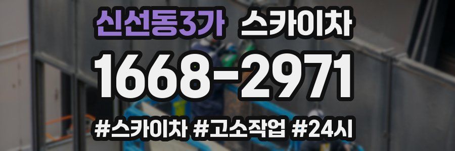 신선동3가 스카이차