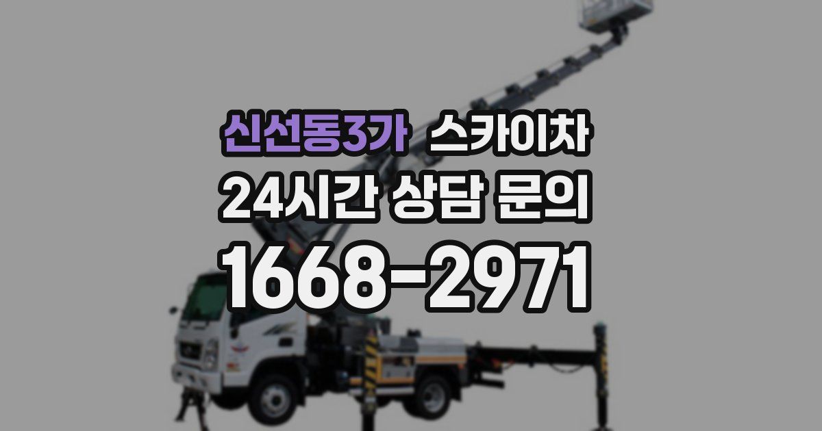 신선동3가 스카이차