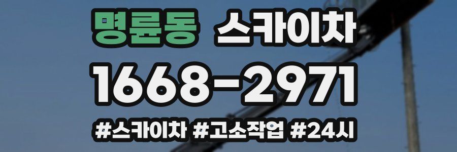 명륜동 스카이차