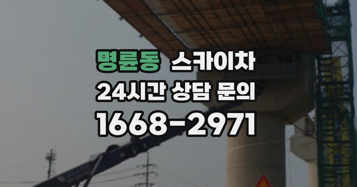 명륜동 스카이차