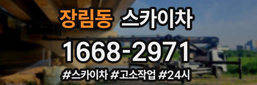 장림동 스카이차