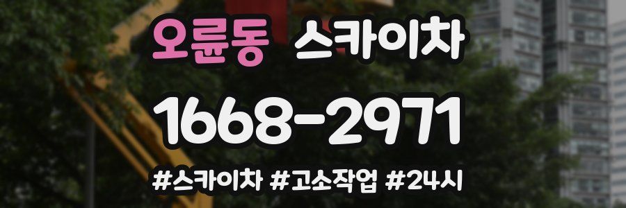 오륜동 스카이차