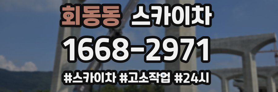 회동동 스카이차