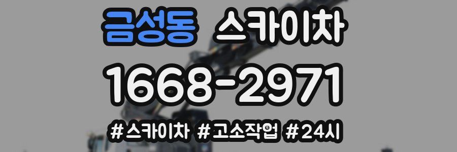 금성동 스카이차